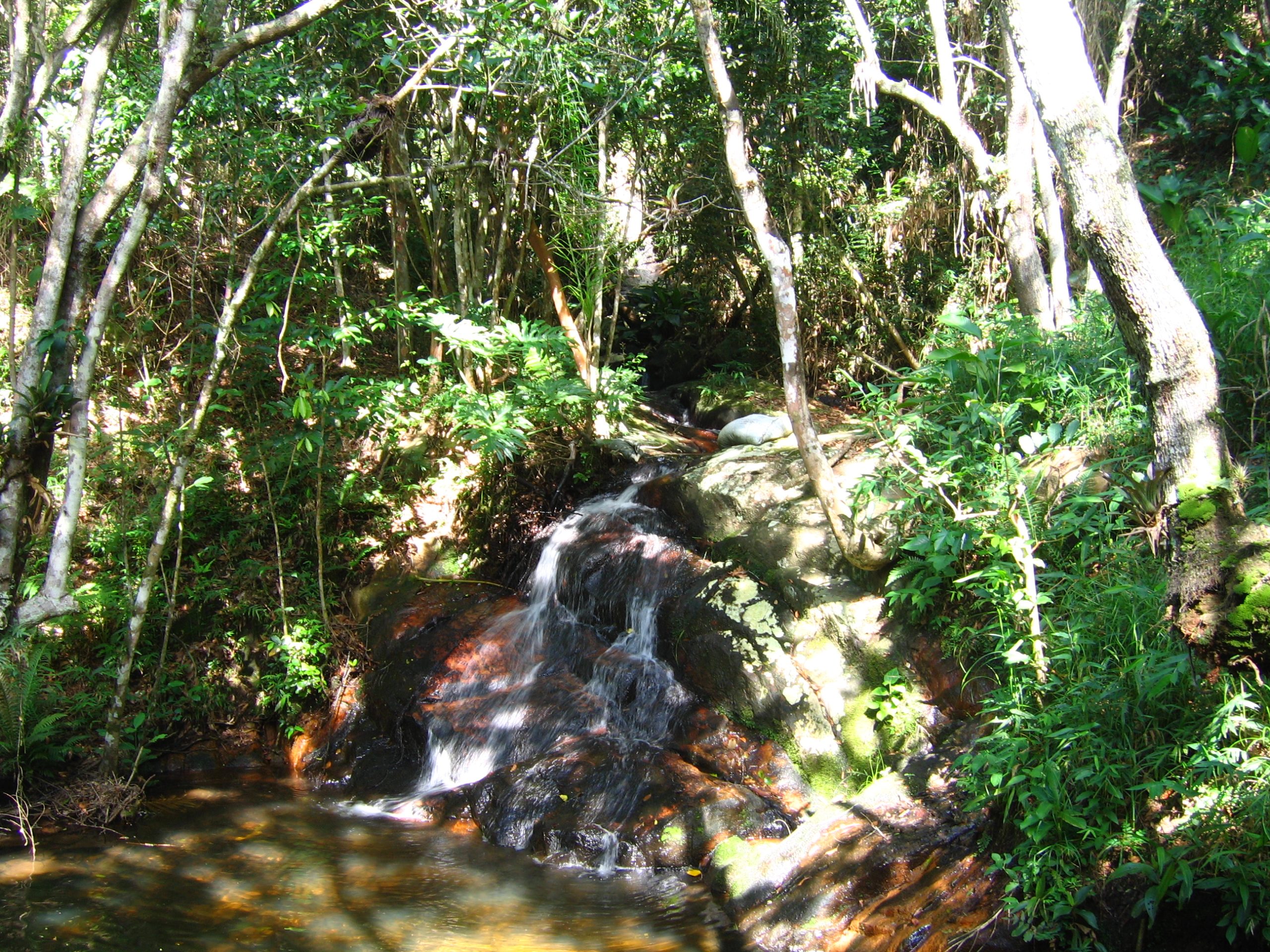 Creeks on Fazenda Siriu